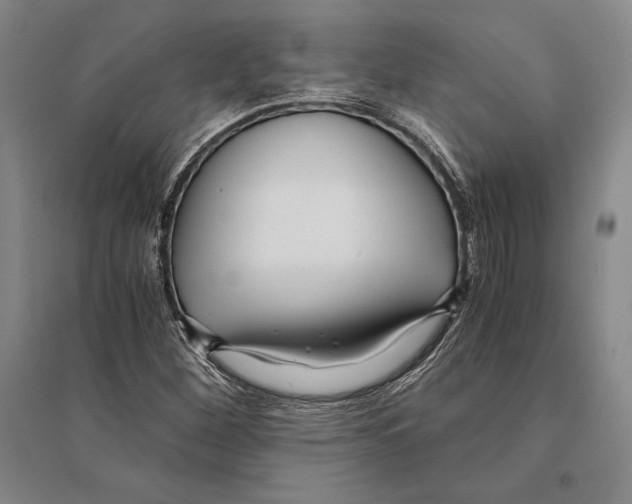 X0000095521260200801111428