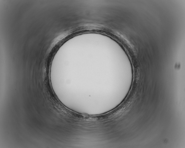 X0000095521261200801111428