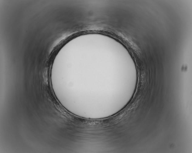 X0000095521262200801111428