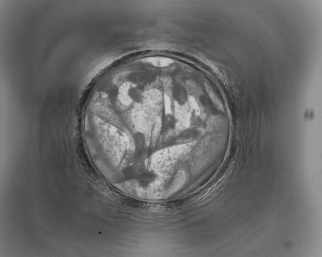 X0000095521263200801111428