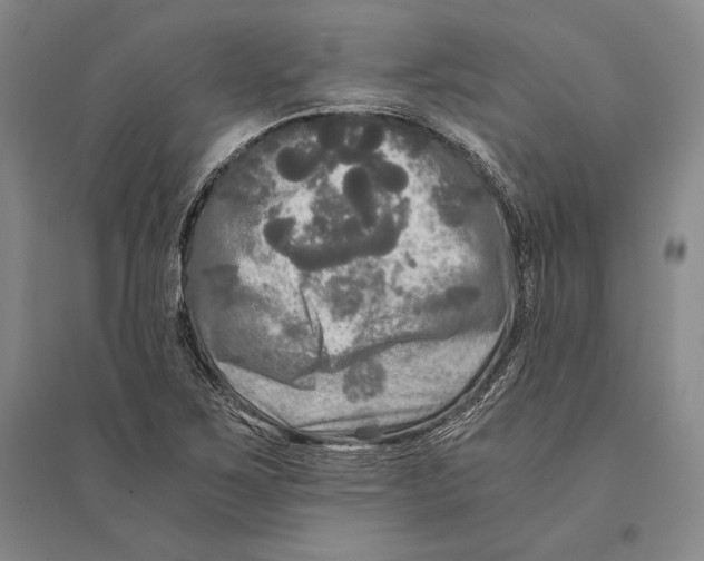 X0000095521267200801111428