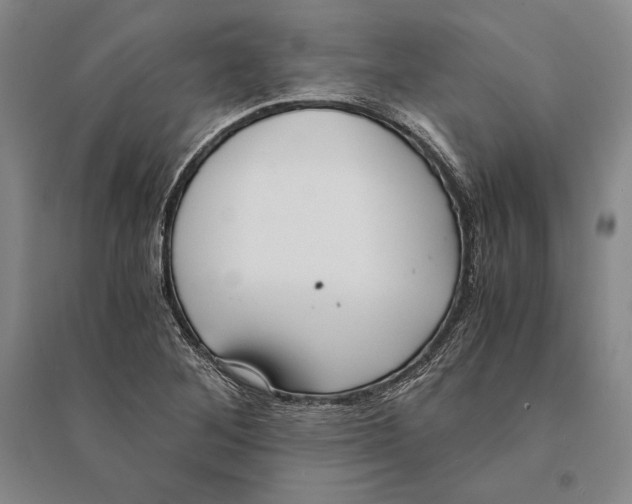 X0000095521268200801111428