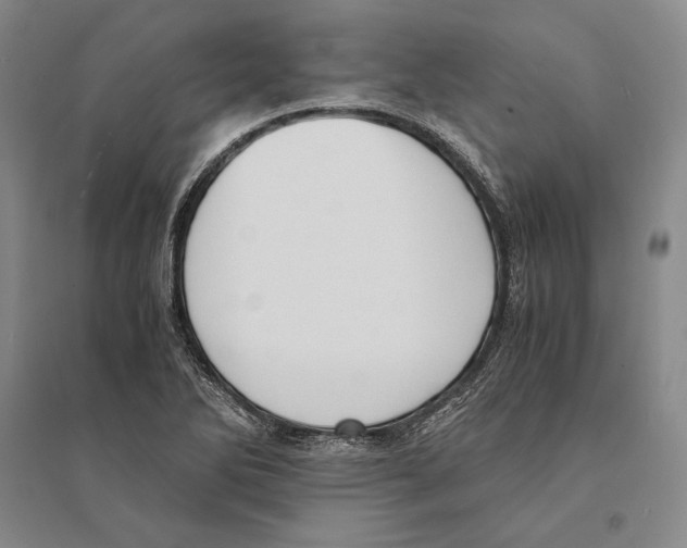 X0000095521270200801111428