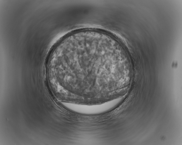 X0000095521271200801111428