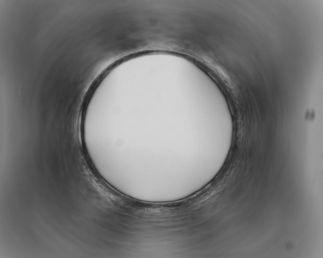 X0000095521272200801111428