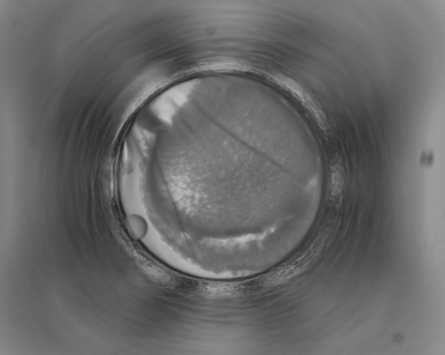 X0000095521274200801111428