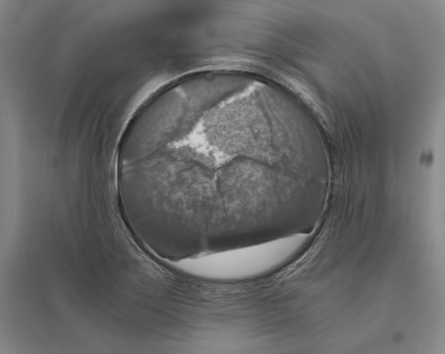 X0000095521275200801111428