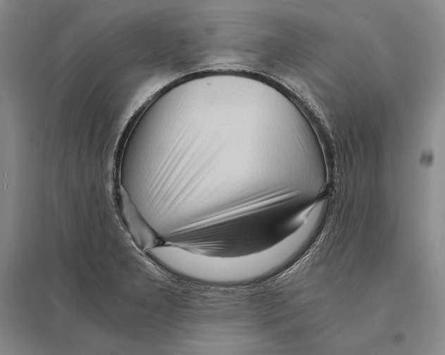 X0000095521277200801111428