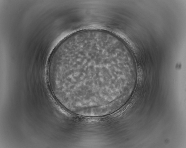 X0000095521278200801111428