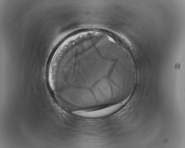 X0000095521279200801111428