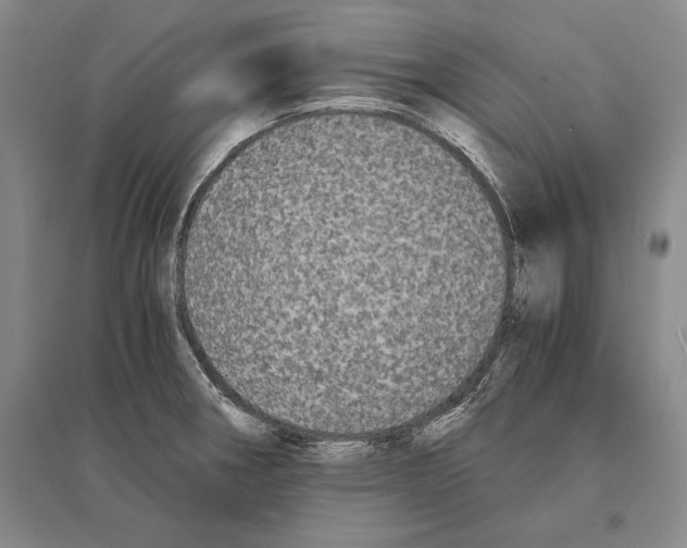 X0000095521282200801111428