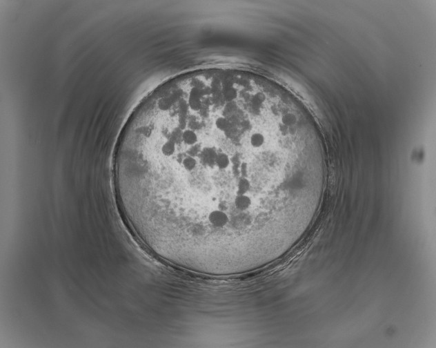 X0000095521283200801111428