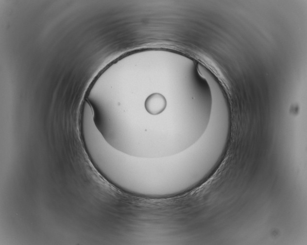 X0000095521284200801111428