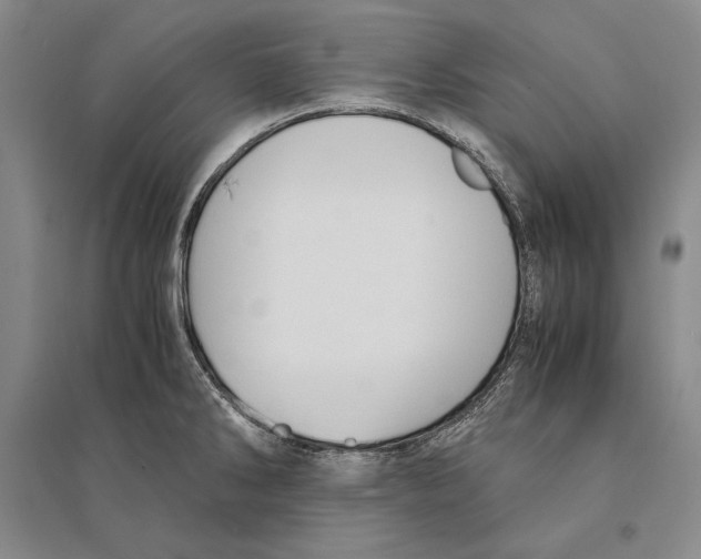 X0000095521286200801111427