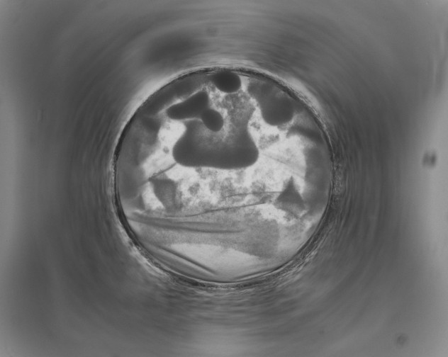 X0000095521287200801111427