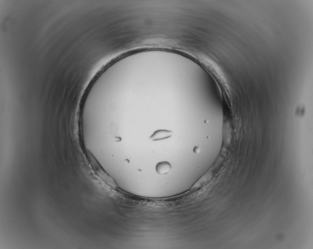 X0000095521288200801111427