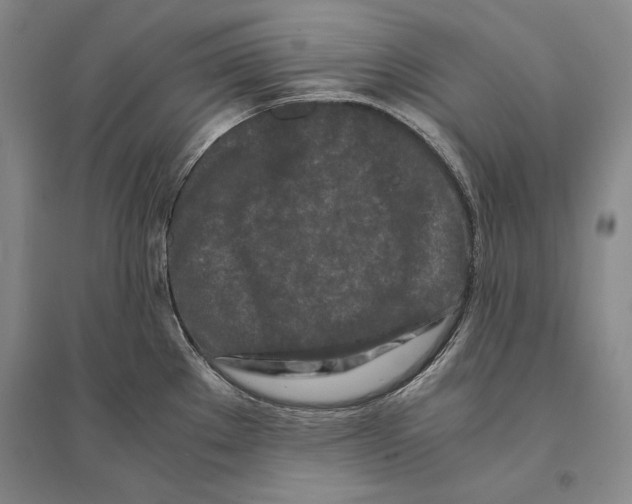 X0000095521289200801111427