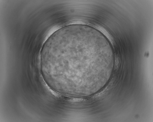 X0000095521290200801111427