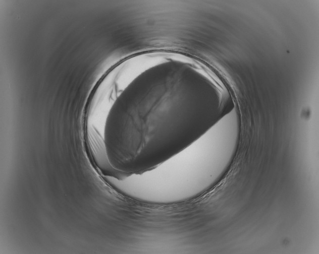 X0000095521291200801111427