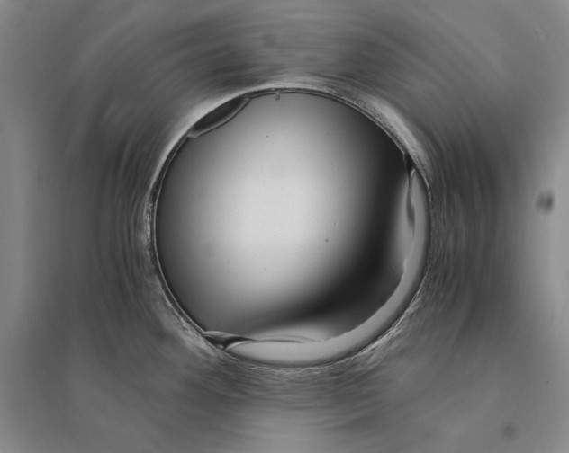 X0000095521292200801111427