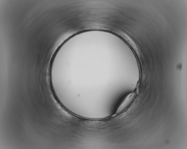 X0000095521293200801111427