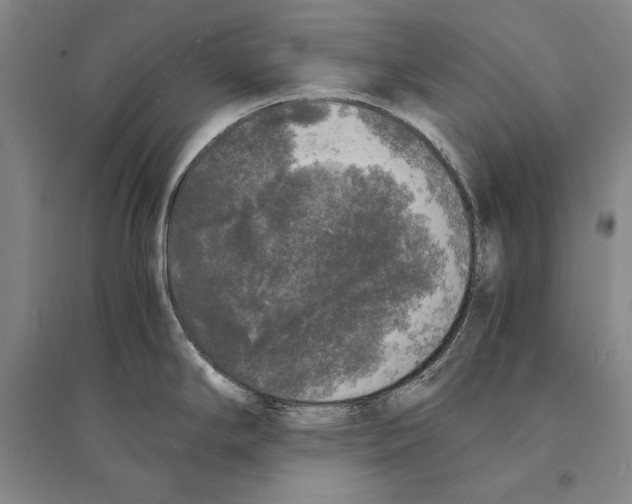 X0000095521294200801111427