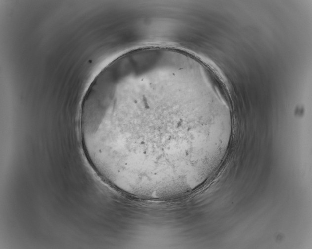 X0000095521295200801111427