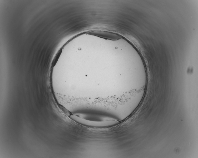 X0000095521296200801111427