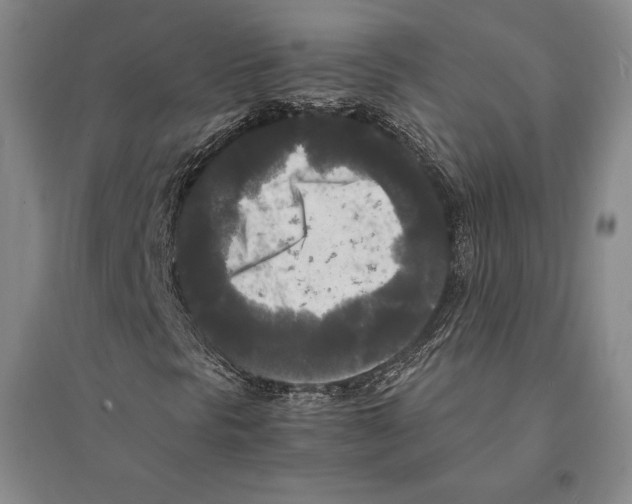 X0000095521297200801111427