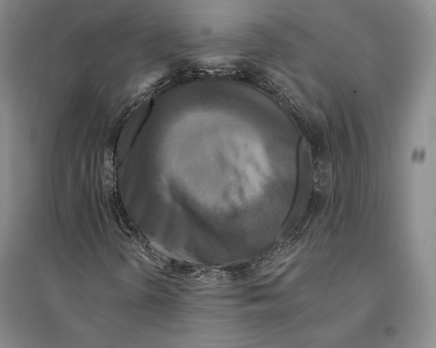 X0000095521298200801111427