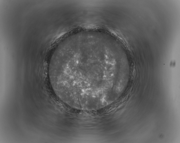 X0000095521301200801111427