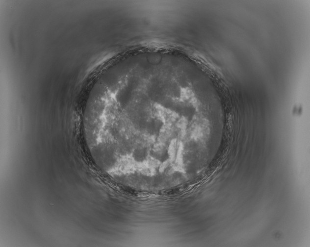 X0000095521302200801111427