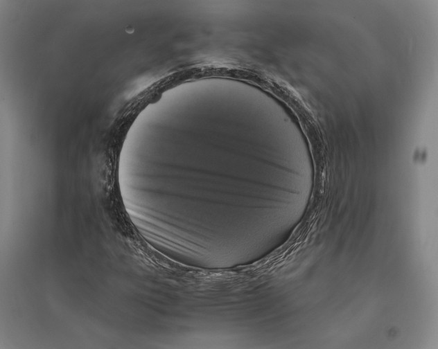 X0000095521303200801111427