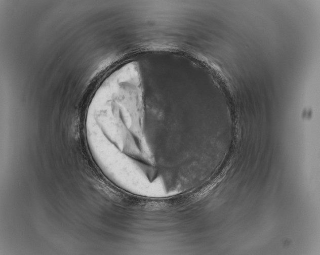 X0000095521306200801111427