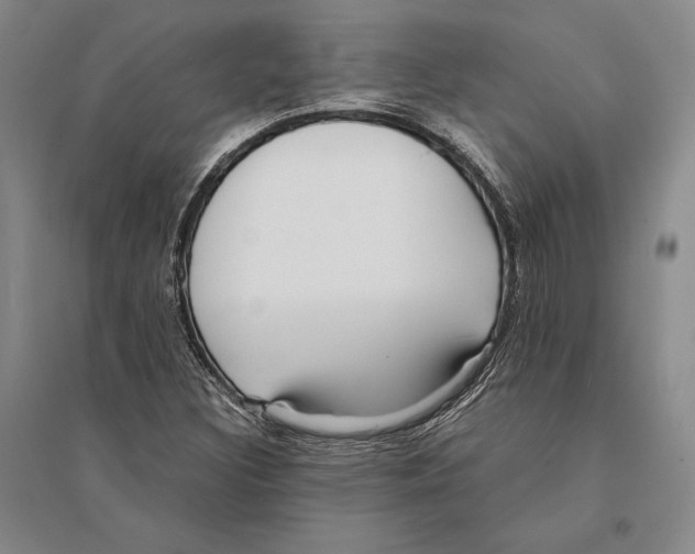 X0000095521308200801111427