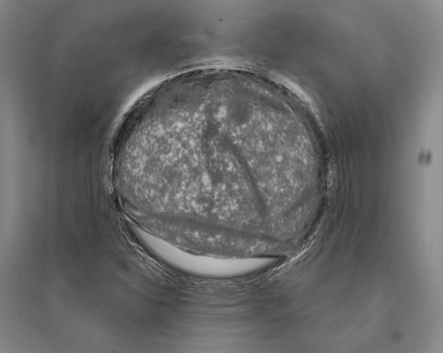 X0000095521310200801111427