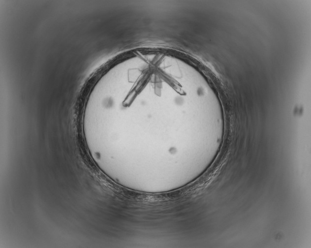 X0000095521311200801111427