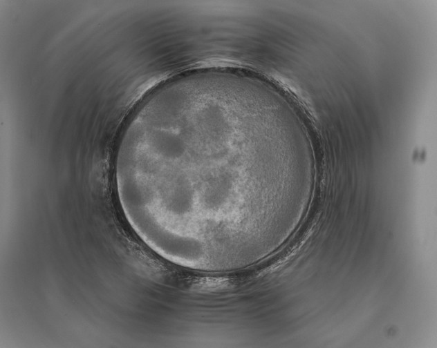 X0000095521313200801111427