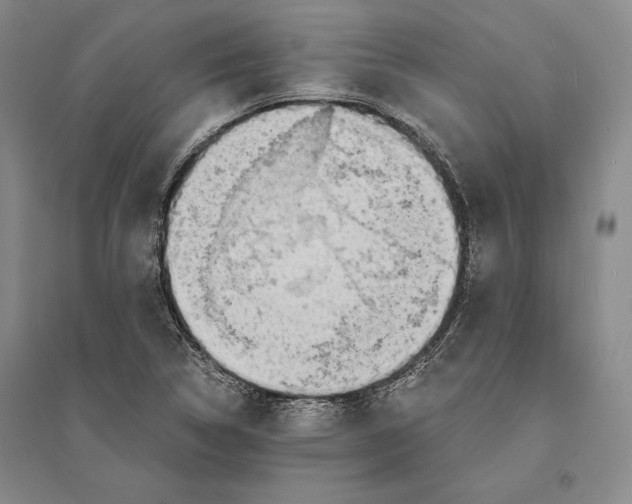 X0000095521314200801111427