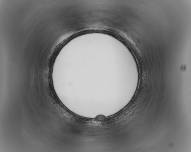 X0000095521315200801111427