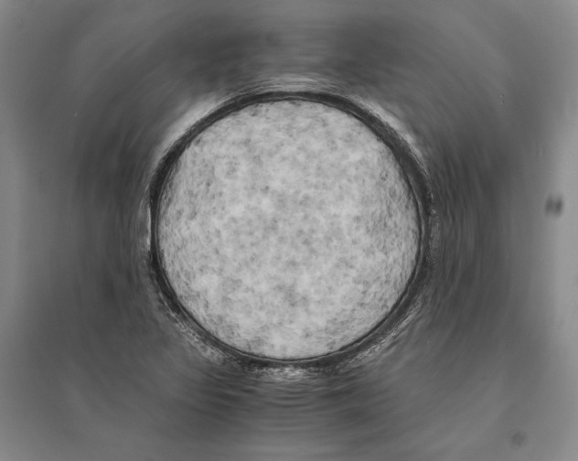 X0000095521317200801111427