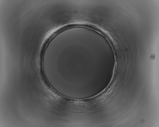 X0000095521319200801111427