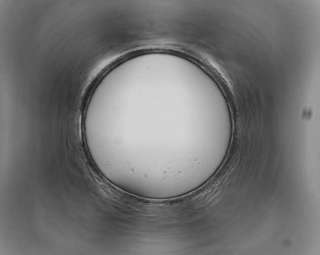 X0000095521320200801111427