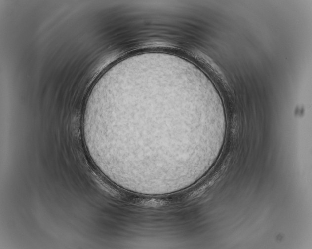 X0000095521321200801111427