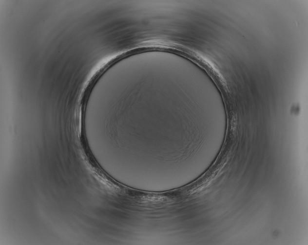 X0000095521323200801111427