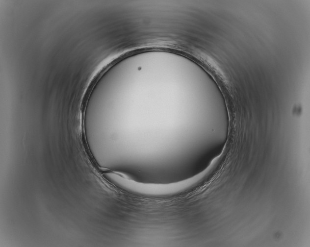 X0000095521324200801111427