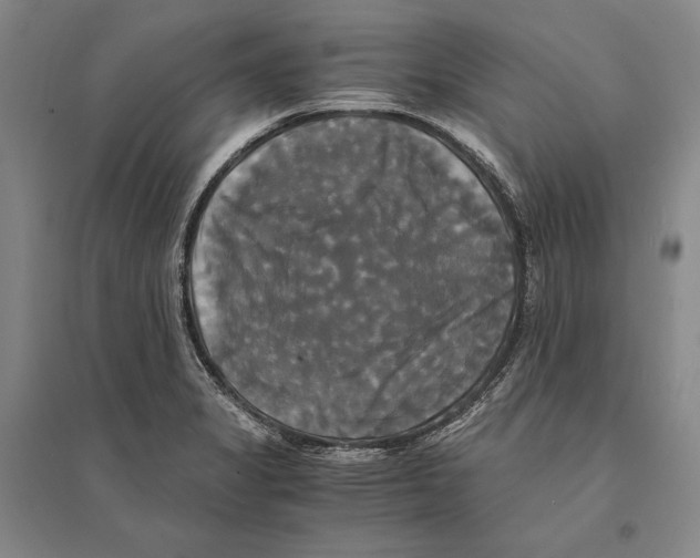 X0000095521325200801111427