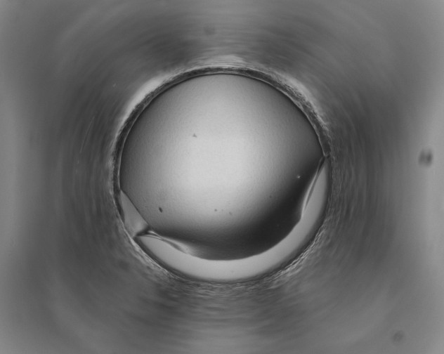 X0000095521326200801111427