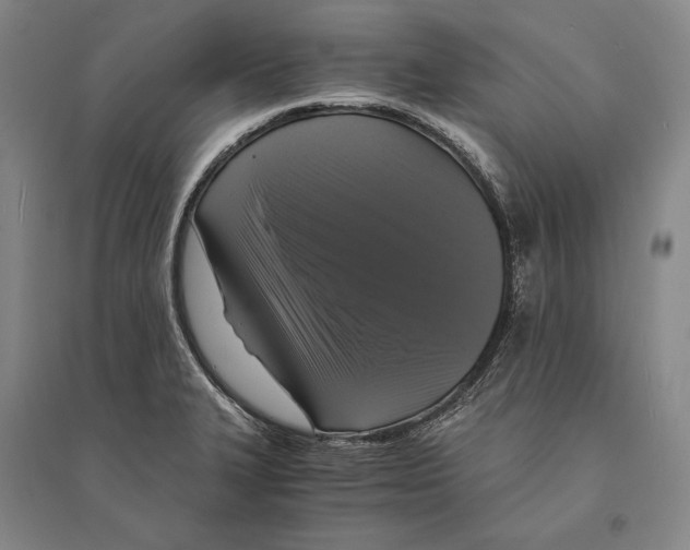 X0000095521327200801111427