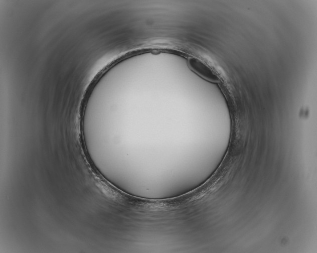 X0000095521328200801111427